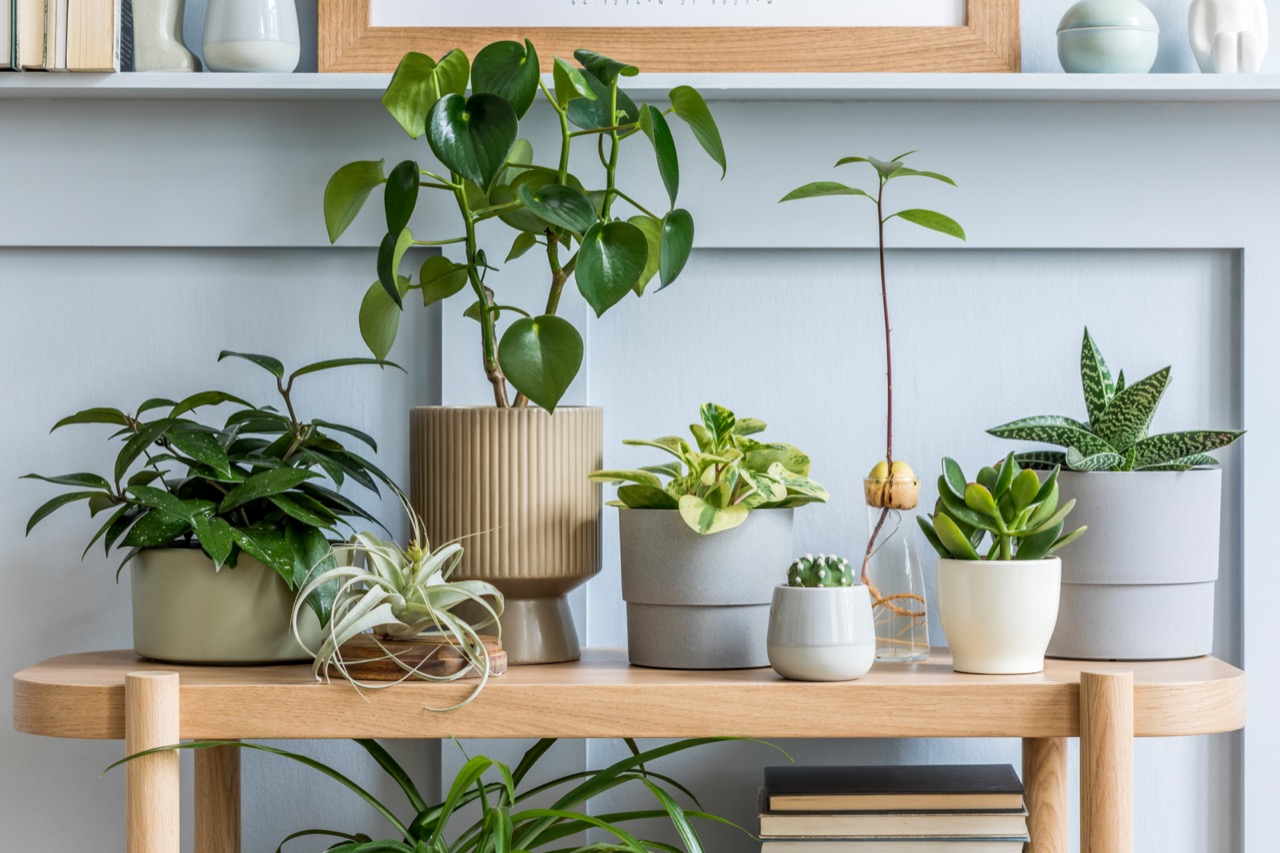 Rafraîchissez votre intérieur - Blog - Makri