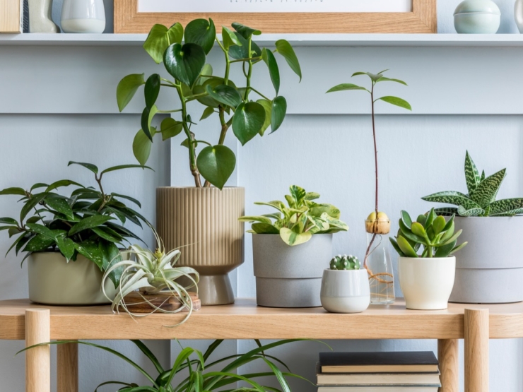 Rafraîchissez votre intérieur - Blog - Makri